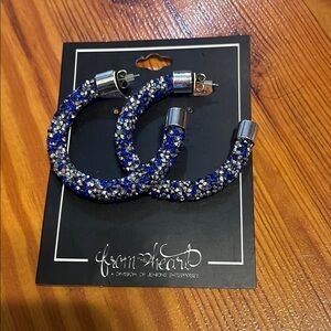 Blue and Silver Hoop Earrings